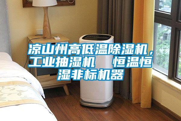 涼山州高低溫除濕機，工業抽濕機  恒溫恒濕非標機器