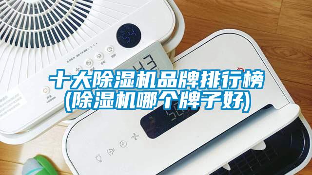 十大除濕機(jī)品牌排行榜(除濕機(jī)哪個牌子好)