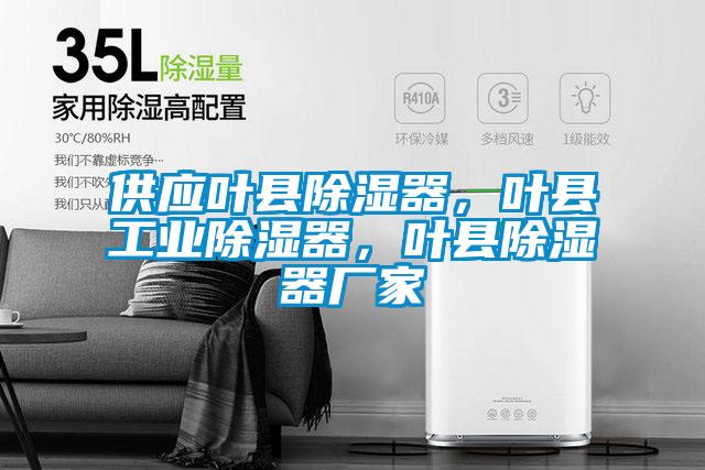 供應葉縣除濕器，葉縣工業除濕器，葉縣除濕器廠家