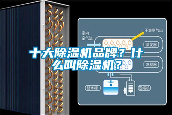 十大除濕機品牌？什么叫除濕機？