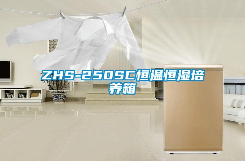 ZHS-250SC恒溫恒濕培養箱