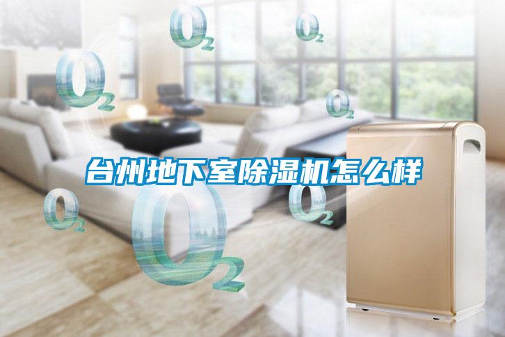 臺州地下室除濕機怎么樣