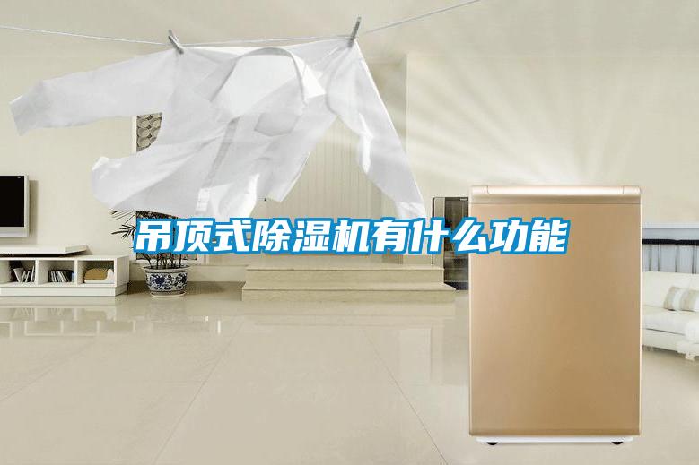 吊頂式除濕機有什么功能