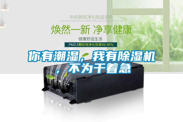 你有潮濕，我有除濕機(jī)，不為干著急