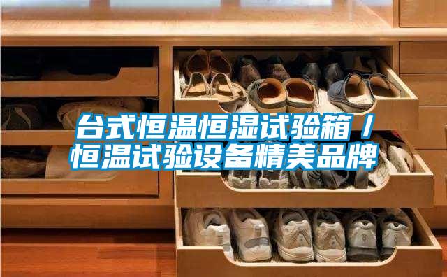 臺式恒溫恒濕試驗(yàn)箱／恒溫試驗(yàn)設(shè)備精美品牌