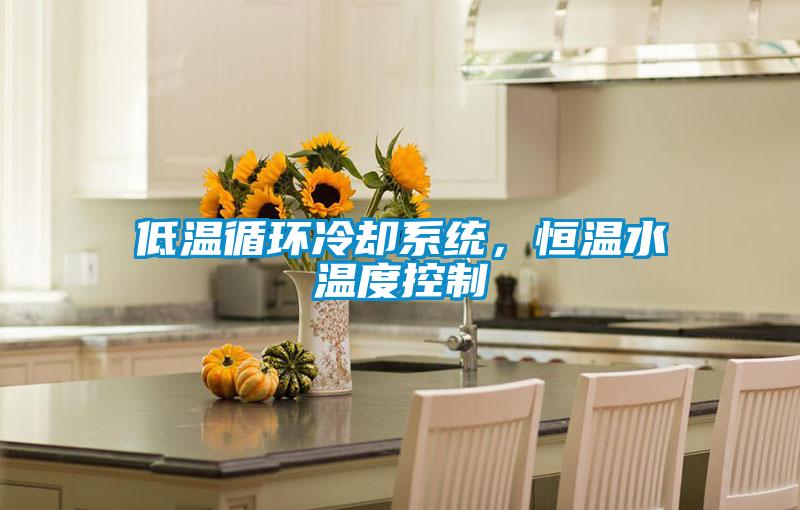低溫循環冷卻系統，恒溫水溫度控制