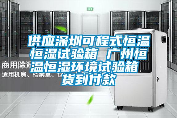 供應深圳可程式恒溫恒濕試驗箱 廣州恒溫恒濕環境試驗箱 貨到付款