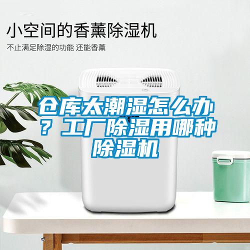 倉(cāng)庫(kù)太潮濕怎么辦？工廠除濕用哪種除濕機(jī)