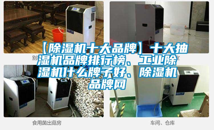 【除濕機(jī)十大品牌】十大抽濕機(jī)品牌排行榜、工業(yè)除濕機(jī)什么牌子好、除濕機(jī)品牌網(wǎng)