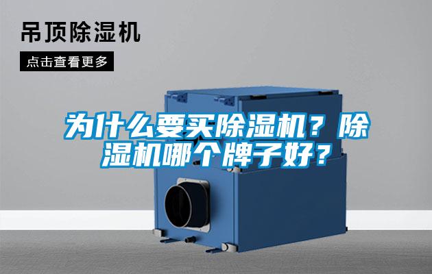 為什么要買除濕機(jī)？除濕機(jī)哪個(gè)牌子好？