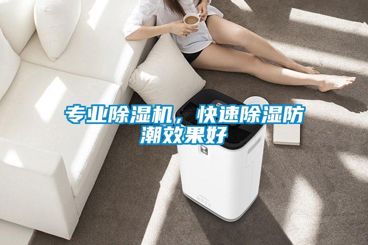 專業(yè)除濕機(jī)，快速除濕防潮效果好