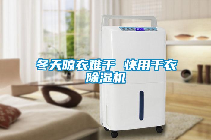 冬天晾衣難干 快用干衣除濕機