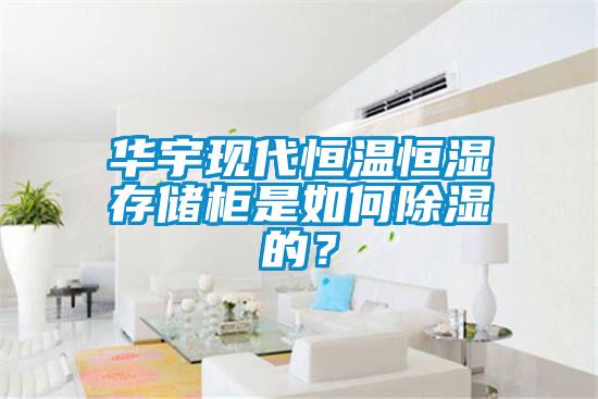 華宇現代恒溫恒濕存儲柜是如何除濕的？