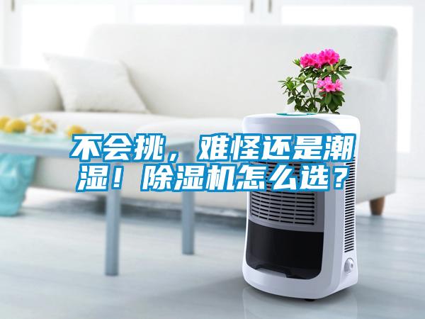 不會挑，難怪還是潮濕！除濕機怎么選？