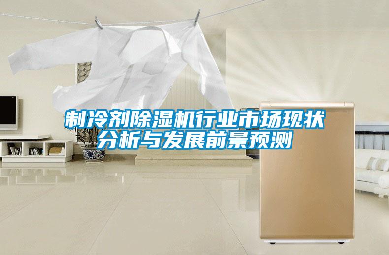 制冷劑除濕機行業(yè)市場現(xiàn)狀分析與發(fā)展前景預測
