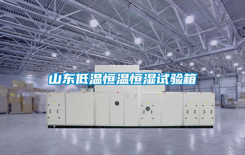 山東低溫恒溫恒濕試驗(yàn)箱