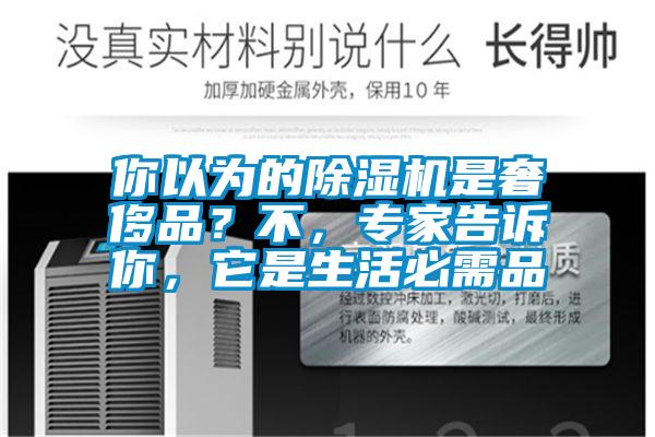 你以為的除濕機是奢侈品？不，專家告訴你，它是生活必需品