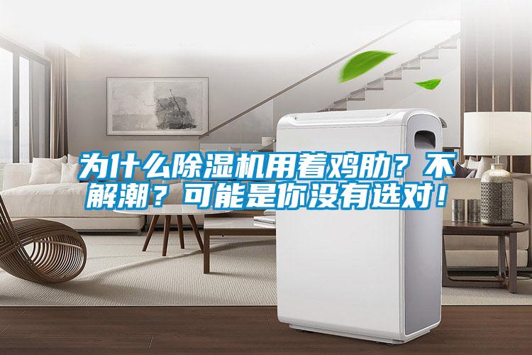為什么除濕機(jī)用著雞肋？不解潮？可能是你沒(méi)有選對(duì)！