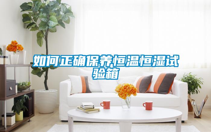 如何正確保養(yǎng)恒溫恒濕試驗箱