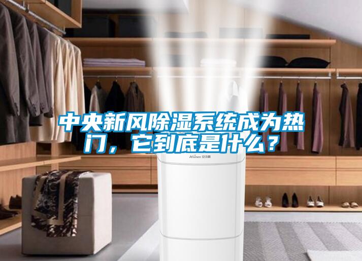 中央新風(fēng)除濕系統(tǒng)成為熱門，它到底是什么？