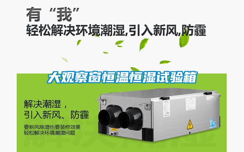 大觀察窗恒溫恒濕試驗(yàn)箱