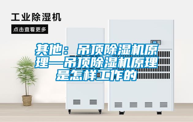 其他:吊頂除濕機(jī)原理—吊頂除濕機(jī)原理是怎樣工作的