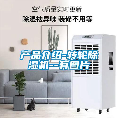 產(chǎn)品介紹-轉(zhuǎn)輪除濕機--有圖片