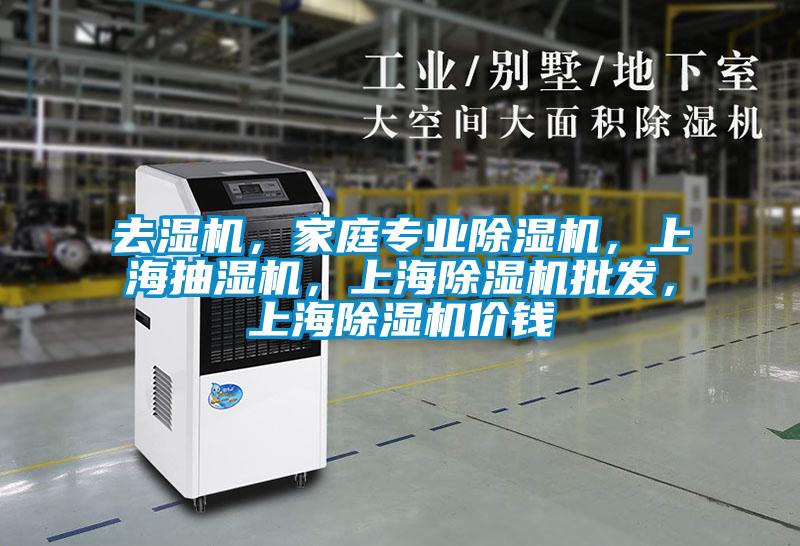去濕機，家庭專業除濕機，上海抽濕機，上海除濕機批發，上海除濕機價錢
