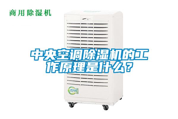 中央空調(diào)除濕機(jī)的工作原理是什么？