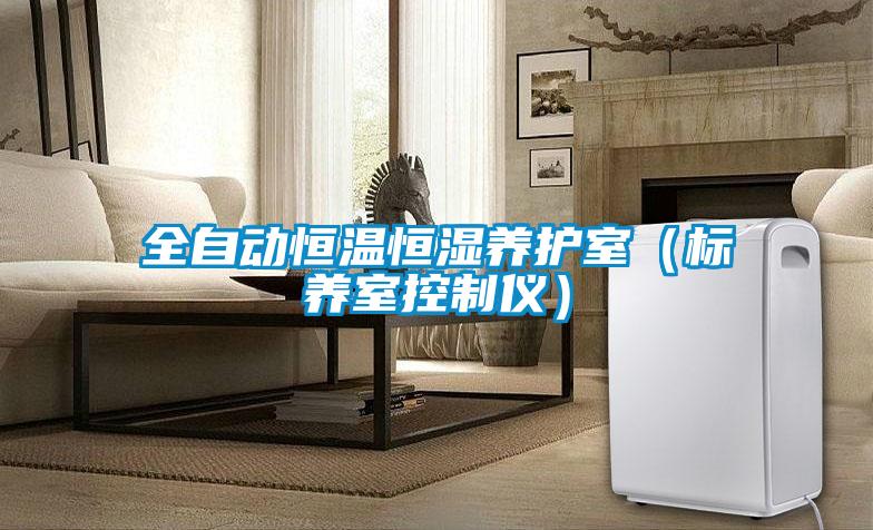 全自動(dòng)恒溫恒濕養(yǎng)護(hù)室（標(biāo)養(yǎng)室控制儀）