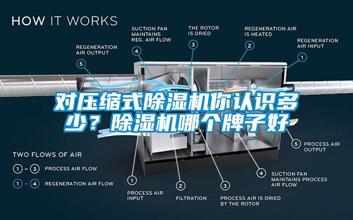 對壓縮式除濕機(jī)你認(rèn)識多少？除濕機(jī)哪個牌子好
