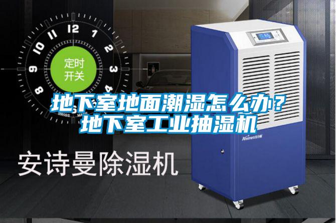 地下室地面潮濕怎么辦？地下室工業(yè)抽濕機(jī)