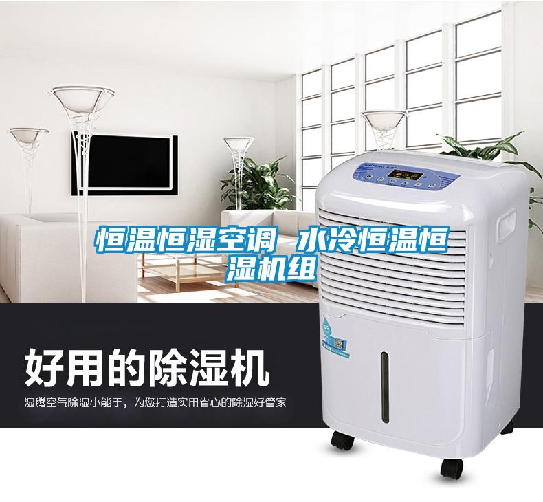 恒溫恒濕空調(diào) 水冷恒溫恒濕機組
