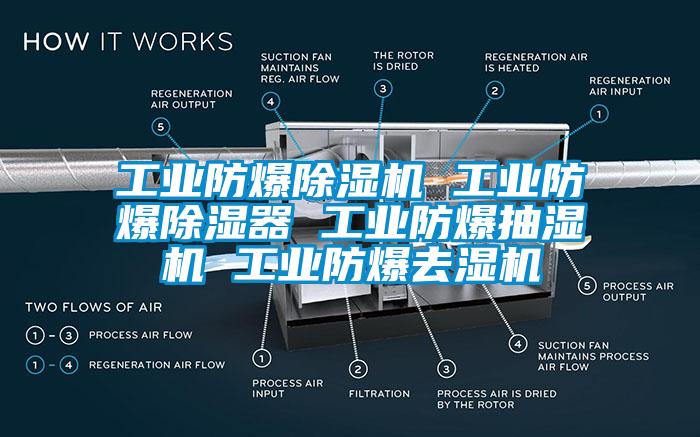 工業防爆除濕機 工業防爆除濕器 工業防爆抽濕機 工業防爆去濕機