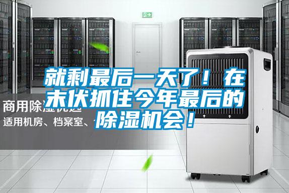 就剩最后一天了！在末伏抓住今年最后的除濕機會！