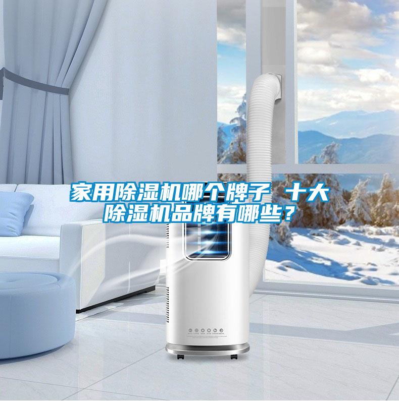 家用除濕機(jī)哪個(gè)牌子 十大除濕機(jī)品牌有哪些？