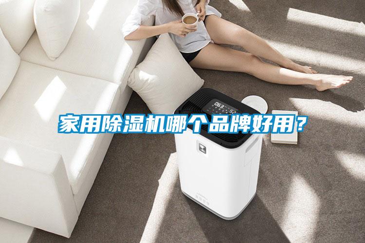 家用除濕機哪個品牌好用？