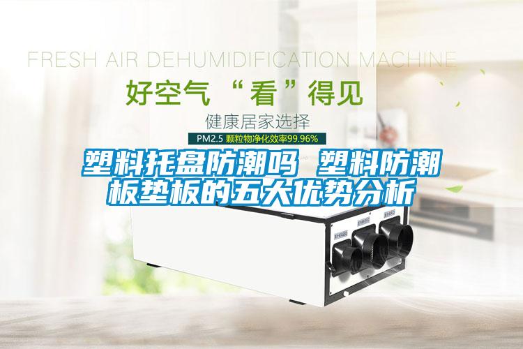 塑料托盤(pán)防潮嗎 塑料防潮板墊板的五大優(yōu)勢(shì)分析