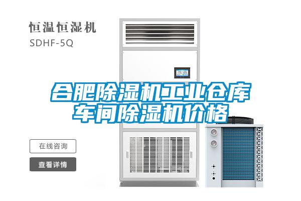 合肥除濕機工業(yè)倉庫車間除濕機價格