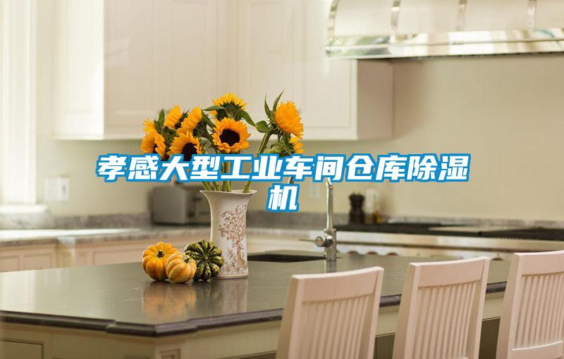 孝感大型工業(yè)車間倉庫除濕機(jī)