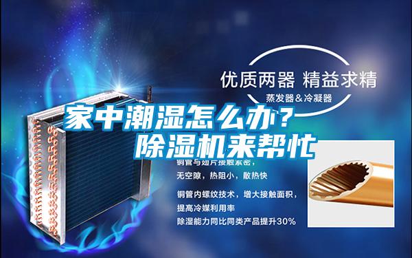 家中潮濕怎么辦？    除濕機來幫忙