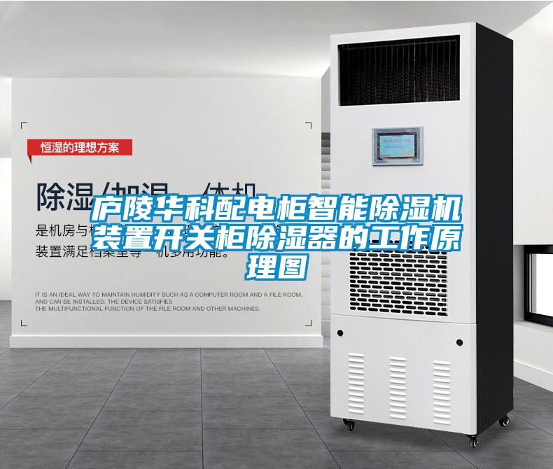 廬陵華科配電柜智能除濕機(jī)裝置開關(guān)柜除濕器的工作原理圖
