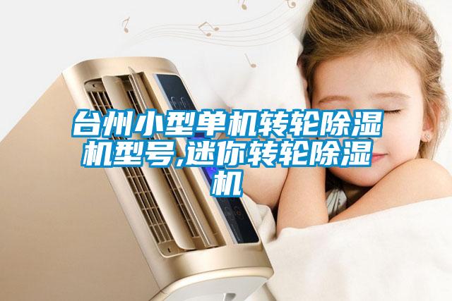 臺州小型單機轉輪除濕機型號,迷你轉輪除濕機