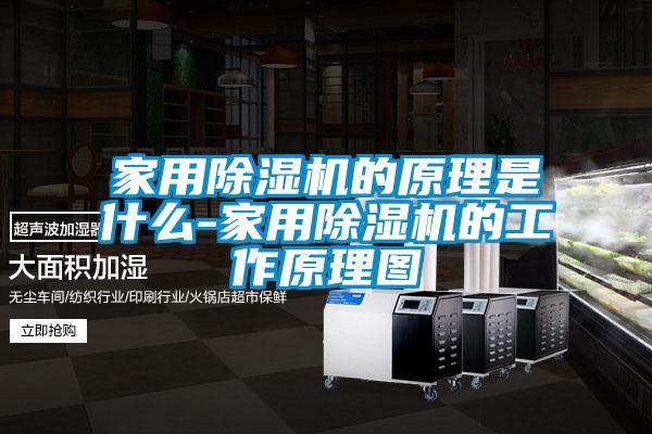 家用除濕機(jī)的原理是什么-家用除濕機(jī)的工作原理圖