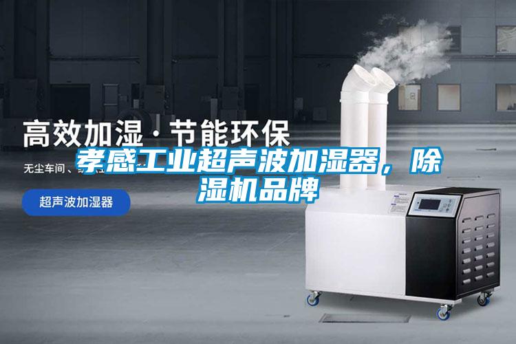 孝感工業超聲波加濕器，除濕機品牌