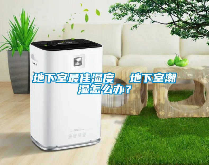 地下室最佳濕度  地下室潮濕怎么辦？