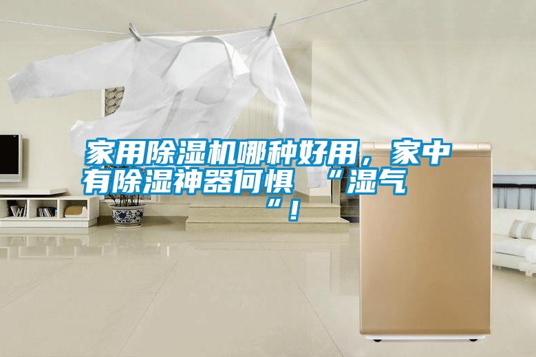家用除濕機(jī)哪種好用，家中有除濕神器何懼 “濕氣 “！