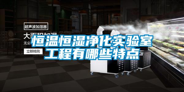 恒溫恒濕凈化實(shí)驗(yàn)室工程有哪些特點(diǎn)