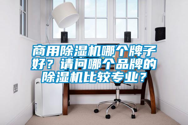 商用除濕機(jī)哪個牌子好？請問哪個品牌的除濕機(jī)比較專業(yè)？