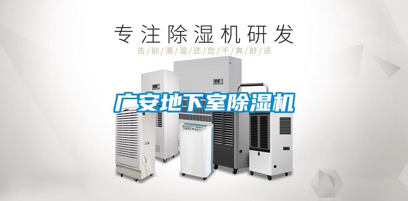 廣安地下室除濕機